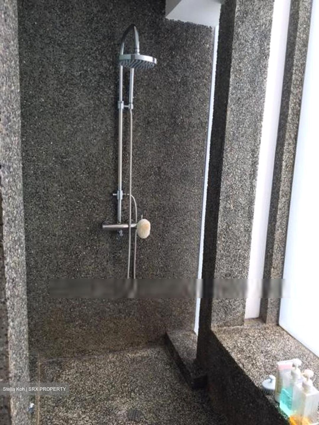 Joo Chiat Place (D15), Detached #603682581